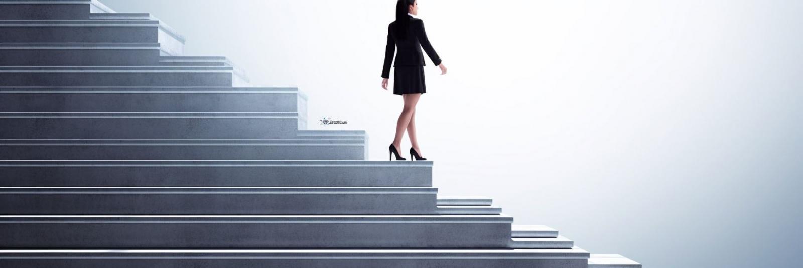 SCHEIN'S CAREER ANCHORS IN UNSERER STRATEGISCHEN VISION VERANKERN